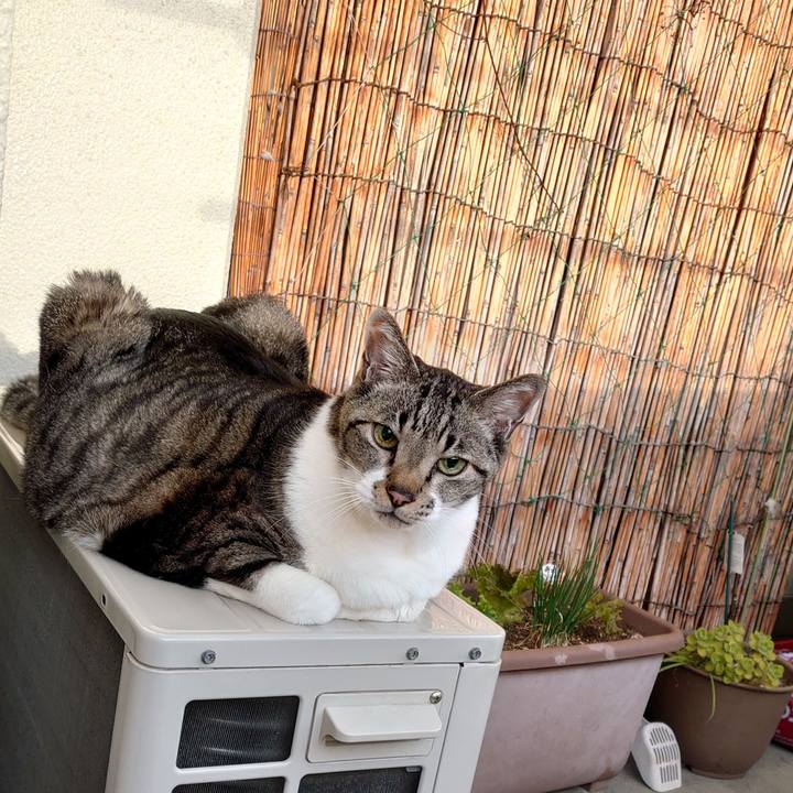 D1d67617 b840 4a09 9772 f35a5ea9d9c5 1708214620555