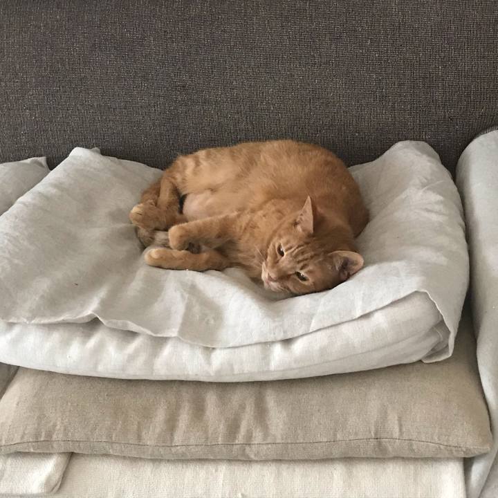 D1d6bfe6 87de 4b82 af14 efdff611f432 1561944888351