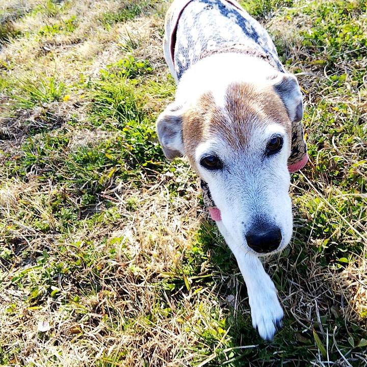 D1d6d264 a510 4f33 b9e4 91617df81072 1582531282348