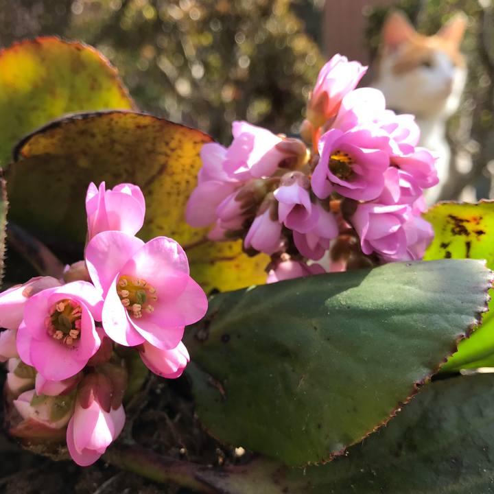 D1d6f1ad a44c 4c48 9557 e375406bb167 1522200202615