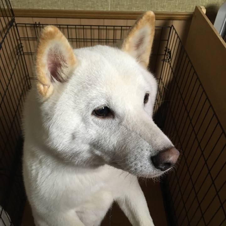 D1d6f2c1 177c 4663 9d89 47b08650c0f4 1539166158801