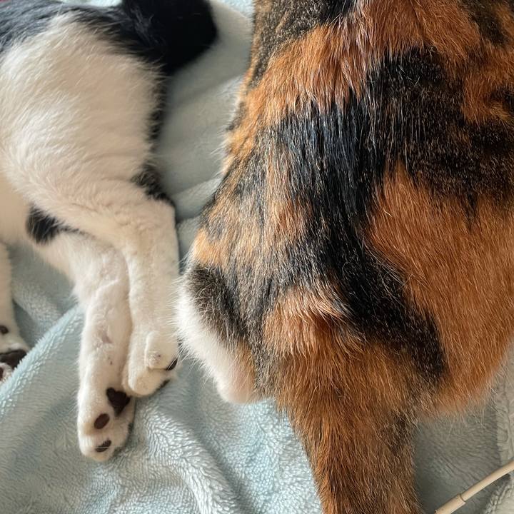 D1d6fca1 39a5 47e3 b545 64184490c5ce 1631248898024