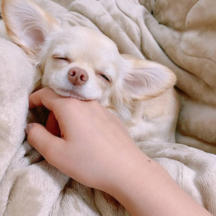 D1d70dd0 29ac 4ed3 9478 57407736965d 1611899505770