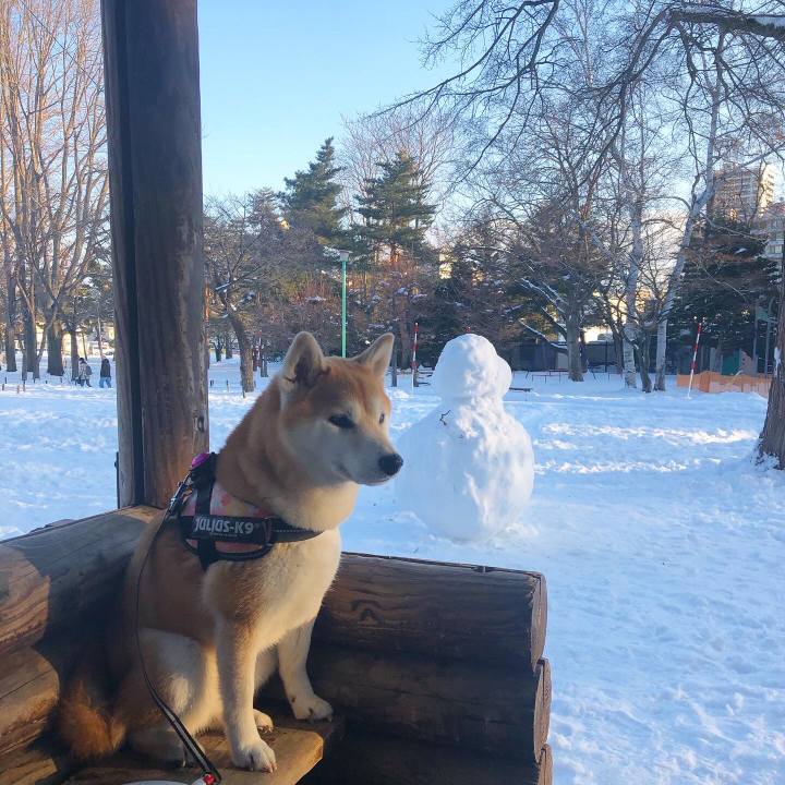 D1d72ca1 f8a6 49ee 91c4 b863a4d92483 1579742514224