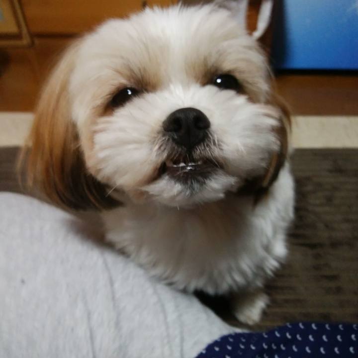 D1d76fc6 1d2b 419d b179 a102c5abf209 1551960355771