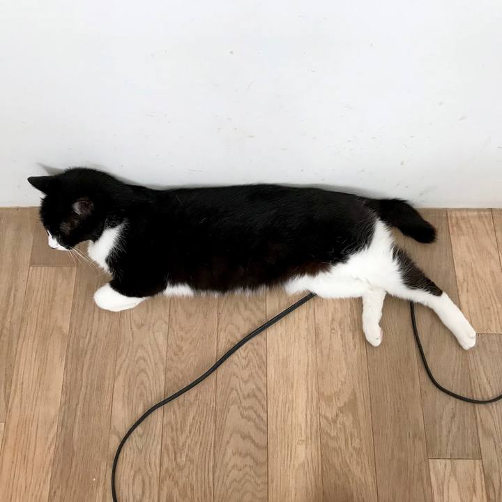 D1d7a7ca 6a2e 4d90 9e0f 4fe36449f411 1517797536605