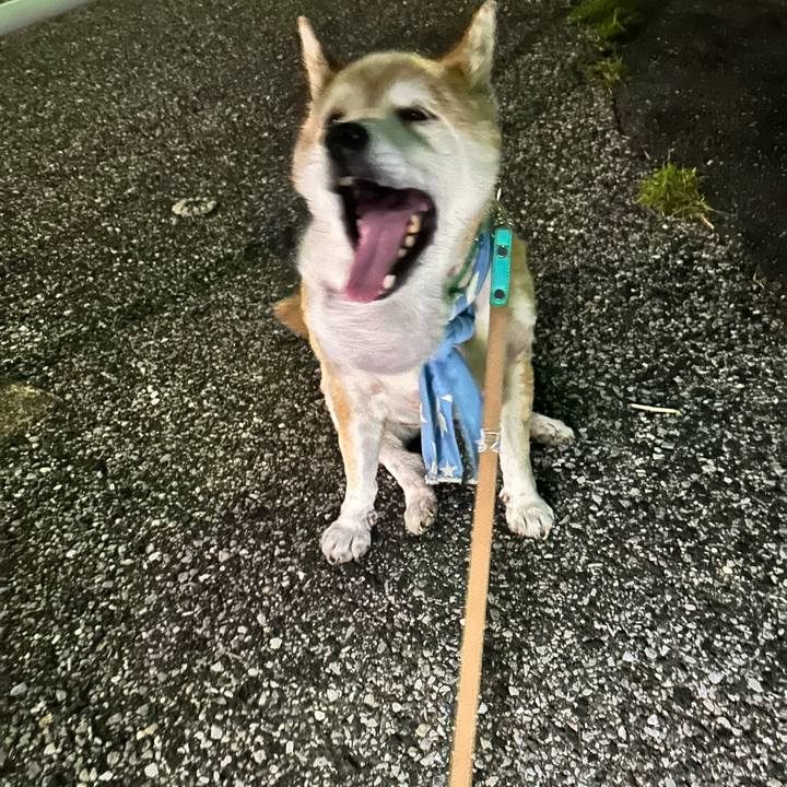 D1d7c8b4 7c5a 45b1 9a18 ad89c3a956d6 1755339772172