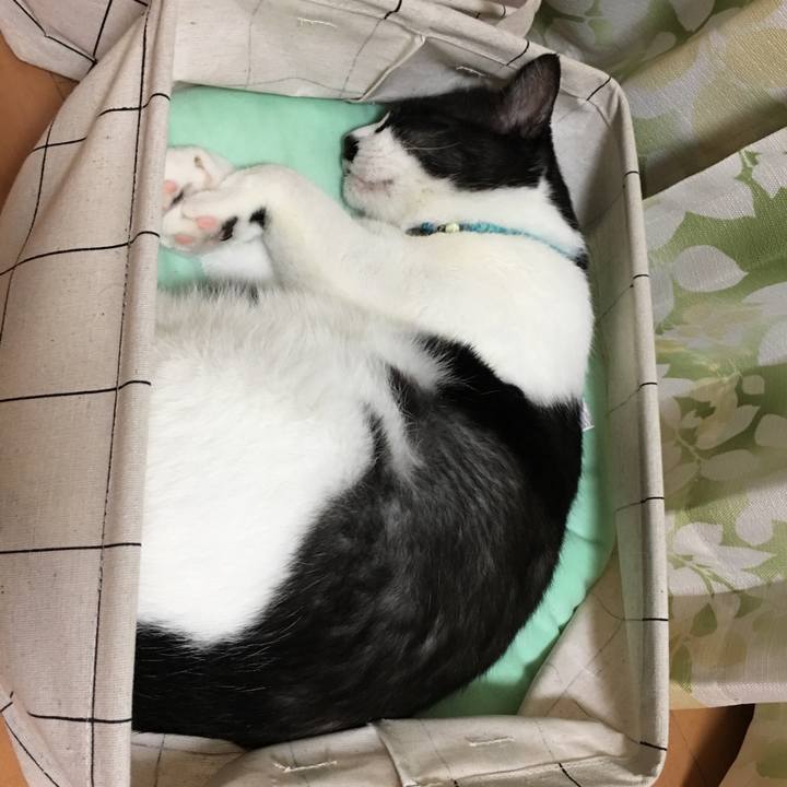 D1d7e951 02f9 41e4 83fd da8950dbe243 1535879805482