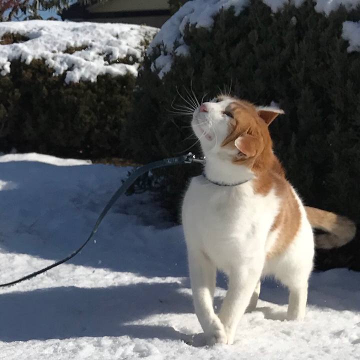 D1d7f714 023d 4f52 8c11 36fcc5a73bbb 1515038555345