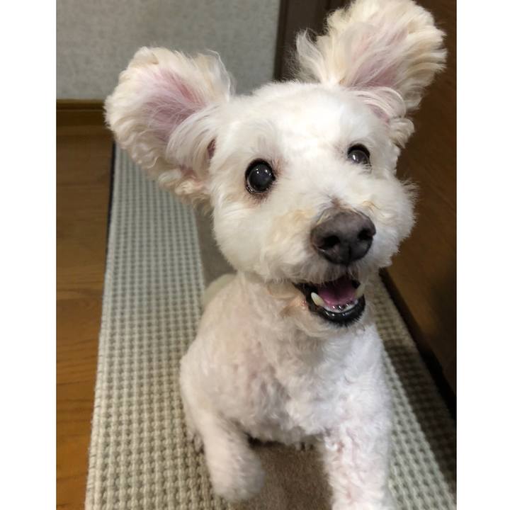 D1d8248e 7118 4da5 a1e4 13f627732189 1536387384604