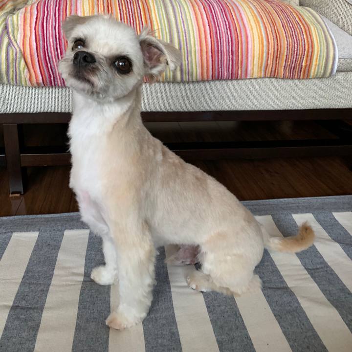 D1d8370f 6249 488f b00a c3f7775b2600 1564099434402