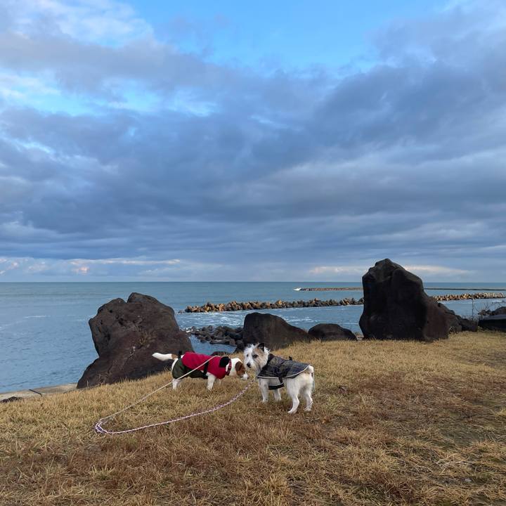 D1d83c3f f36d 4cd9 bf65 dc1f0632603a 1763593186420