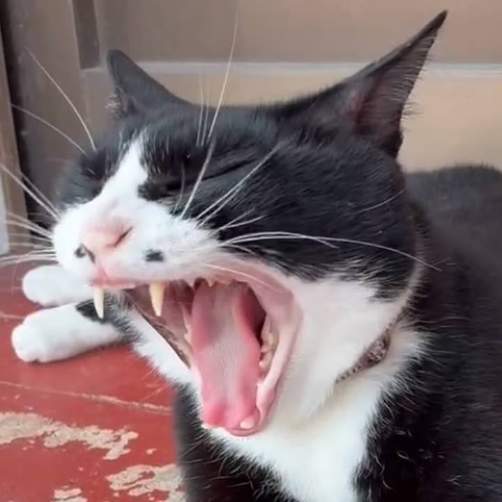 D1d84b16 a696 4d04 94b7 149f4fdc6231 1751285602591