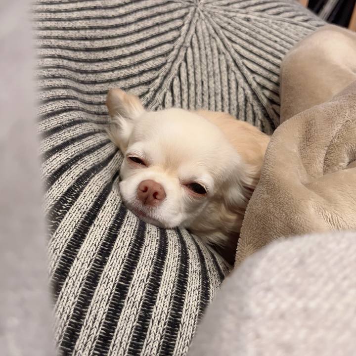 D1d85082 6776 4cc1 bfc8 82aced38e007 1731663472363