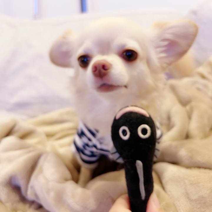 D1d8e65f c53b 4712 bc8c 3502f2278458 1695901343553