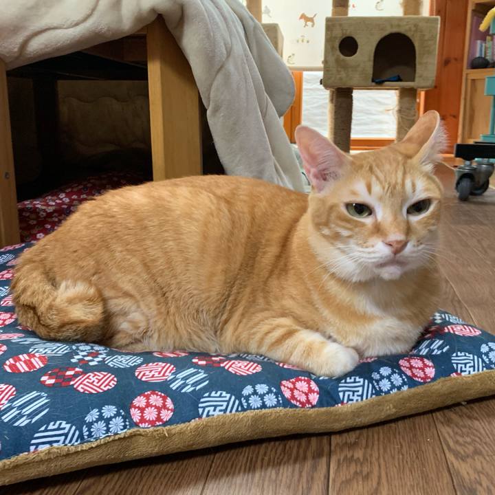 D1d8ecdf aa08 404c 9b04 20fc525bd841 1586210567987