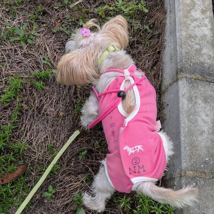 D1d903d7 f804 43e0 ad27 bf5597ab87a4 1757640332621