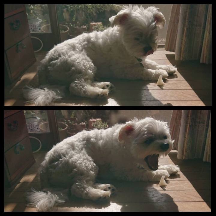 D1d92502 4261 4b9f b5e4 a8859cc4d0f5 1540873871991