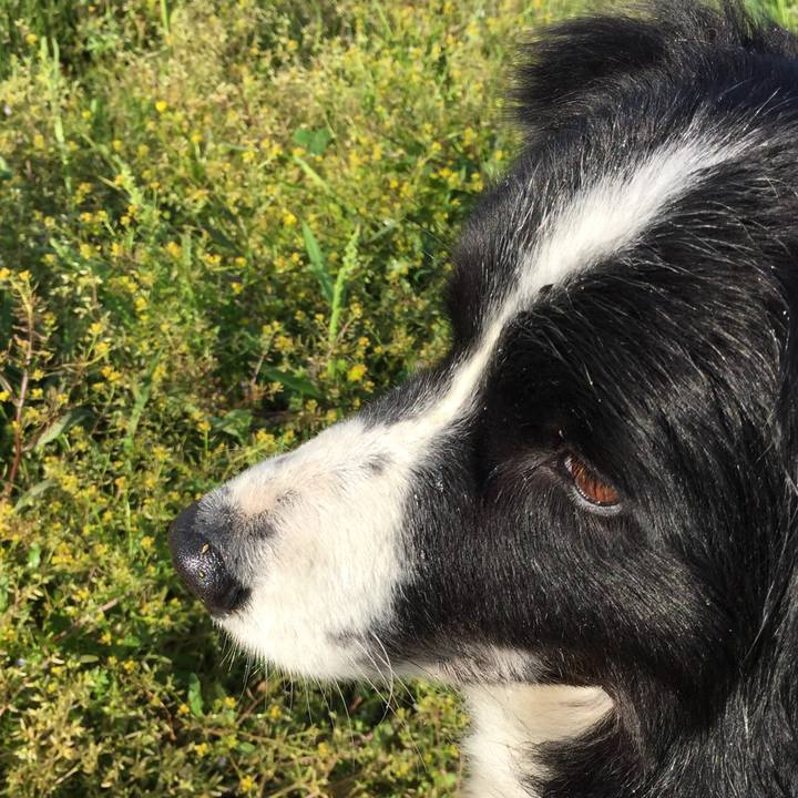 D1d93940 affe 49ca 9ba6 cc1ef190eac9 1524266159190