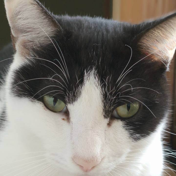 D1d97c40 775e 4f3f 8293 a7ec5ad79a8b 1544238510511