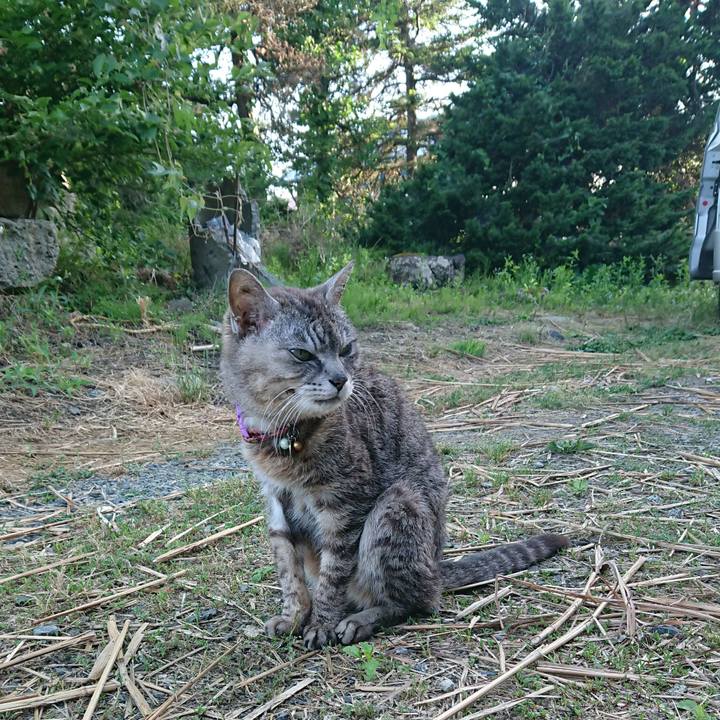 D1d989ff 5857 462c 9abe 8d2c4d6642ed 1593422592283