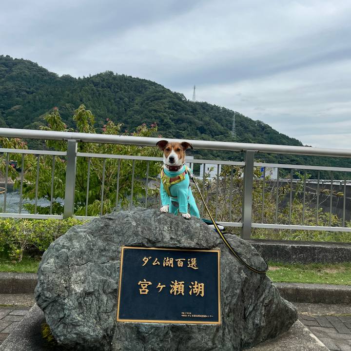 D1d9ff6e dfad 4742 92d1 87d3784f9caa 1760338964630