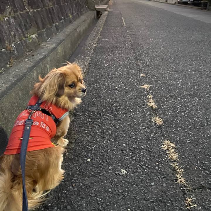 D1da31b4 4597 48c1 ae9b 707918fa4717 1578262764823