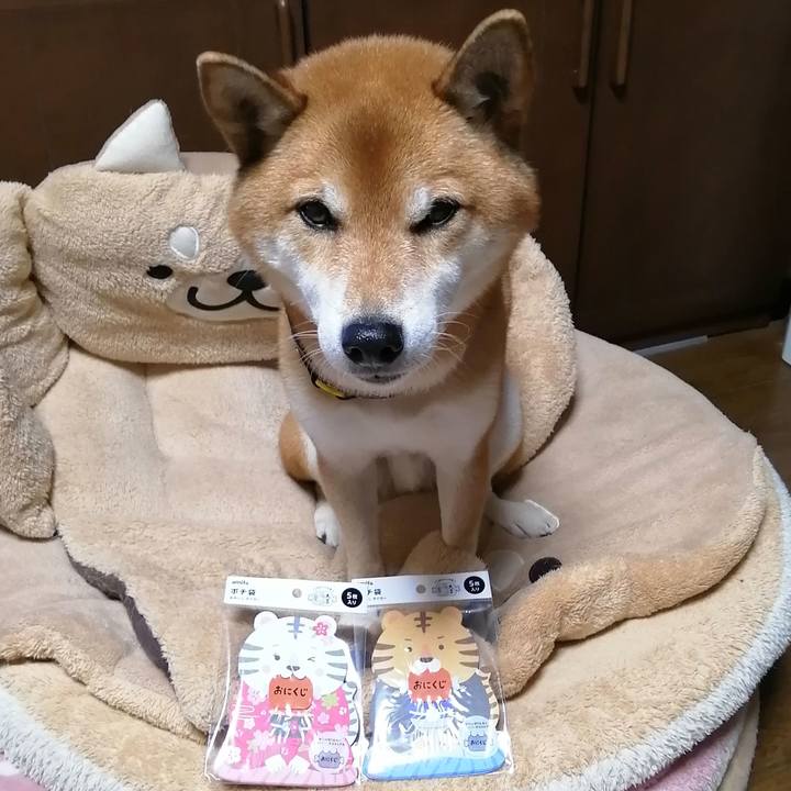 D1da637b 4efc 441d 91e0 b9fc6d15edc5 1638522808435