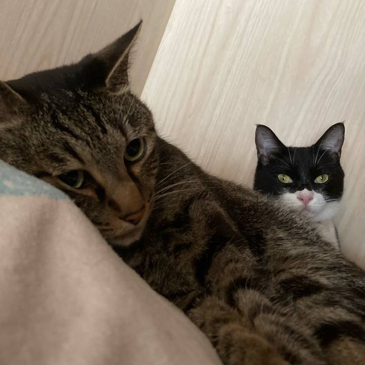 D1da7e46 9ac1 42eb b7c3 ad263c6a0aa0 1623482183578