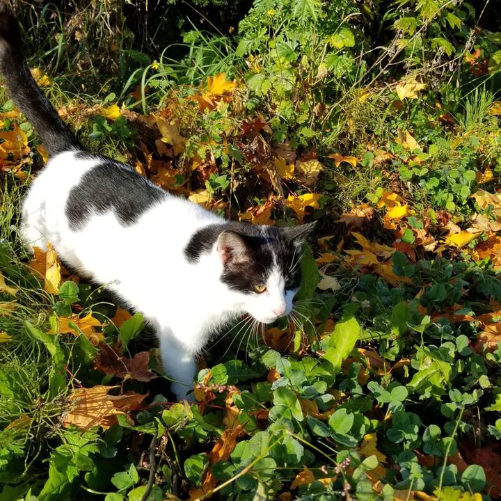 D1da8af5 4b14 47dc a662 9fc18863129b 1571967262210