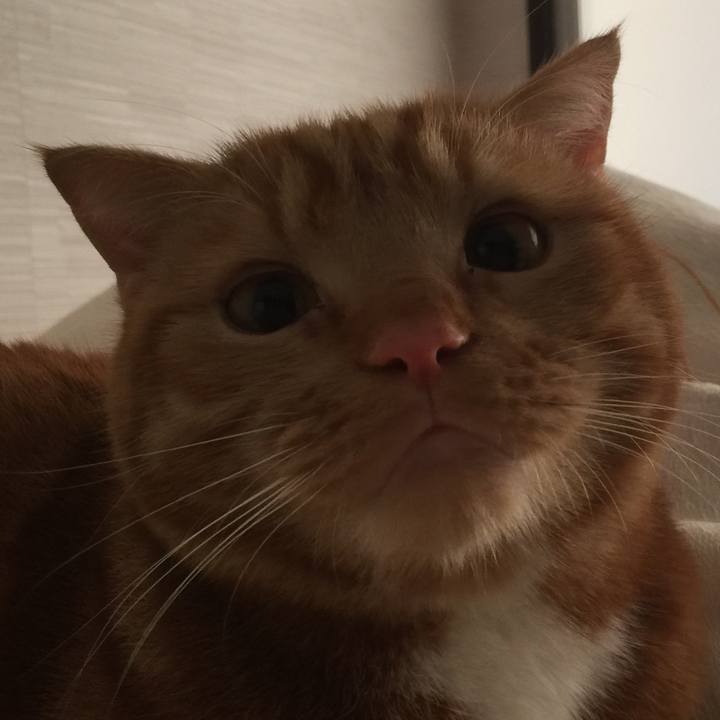 D1dac2f4 d670 4acc a4ff 3ed36567595f 1518921521812