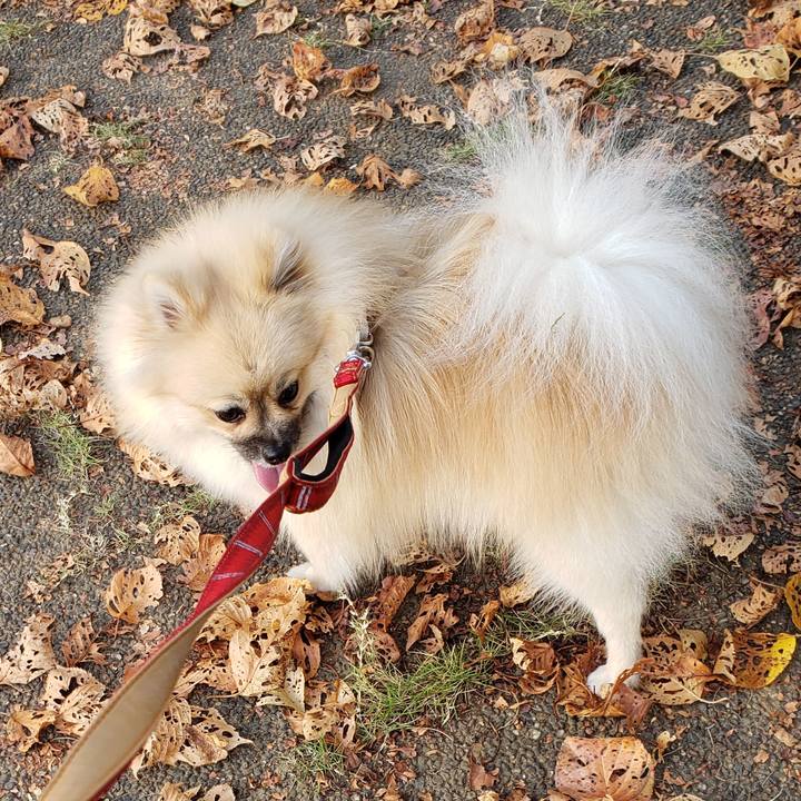 D1dac3d9 60eb 47e3 a939 ce0053c9e9f4 1636170469212