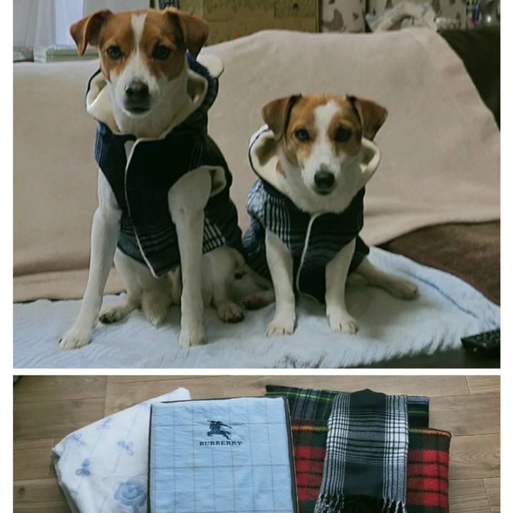 D1daf52e 49dc 462c 924e 35a28b88f08f 1772089891565