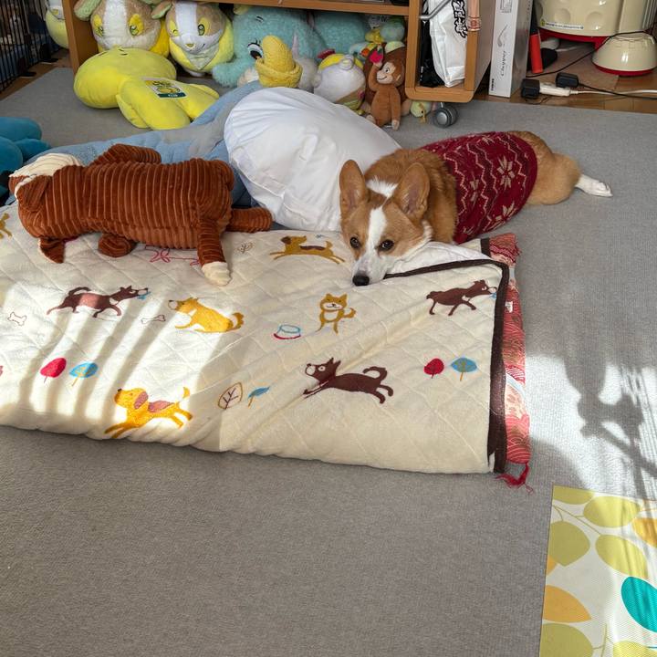 D1db3c63 4aef 4e7d b378 c9ce0d49b506 1769225240672