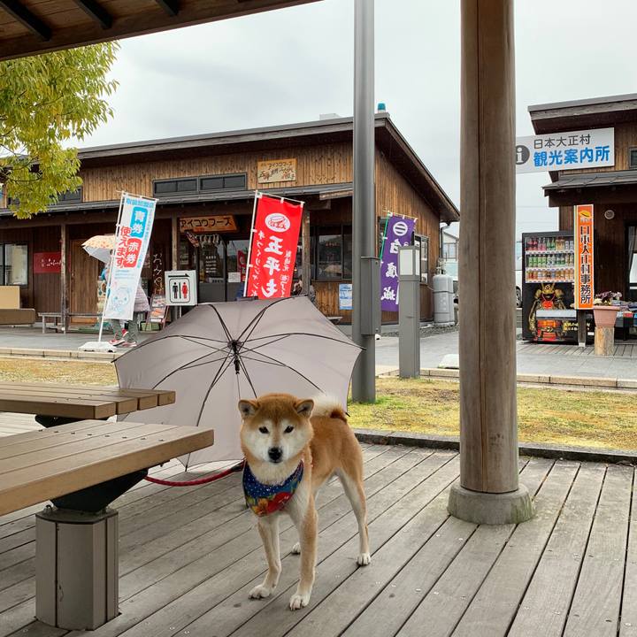 D1db52b2 fddd 46ff 807e 4dd8ab6efedd 1582963461005