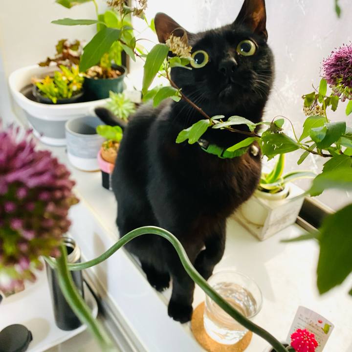 D1db81b1 a43b 413b 9729 192a786f9b98 1677399066069