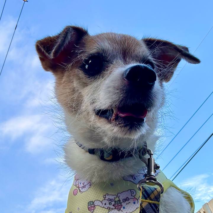 D1db8969 4e87 4795 9b48 521e20f80876 1688984407933