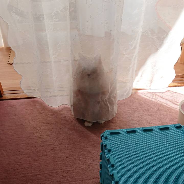 D1dba30e 1b9d 40ba a834 fb3d6247a7ab 1575777925661