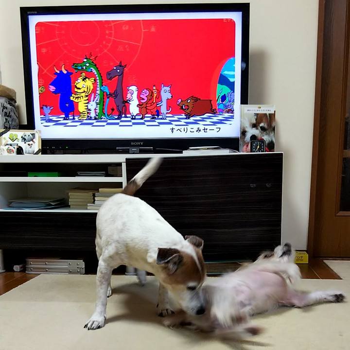 D1dbb167 9218 46f8 b45f 50ff72958043 1552429059368