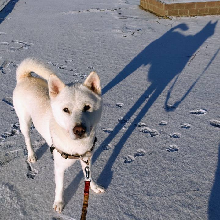 D1dbd653 ea5a 4fcf bf61 d0c45a456ad2 1642167863558