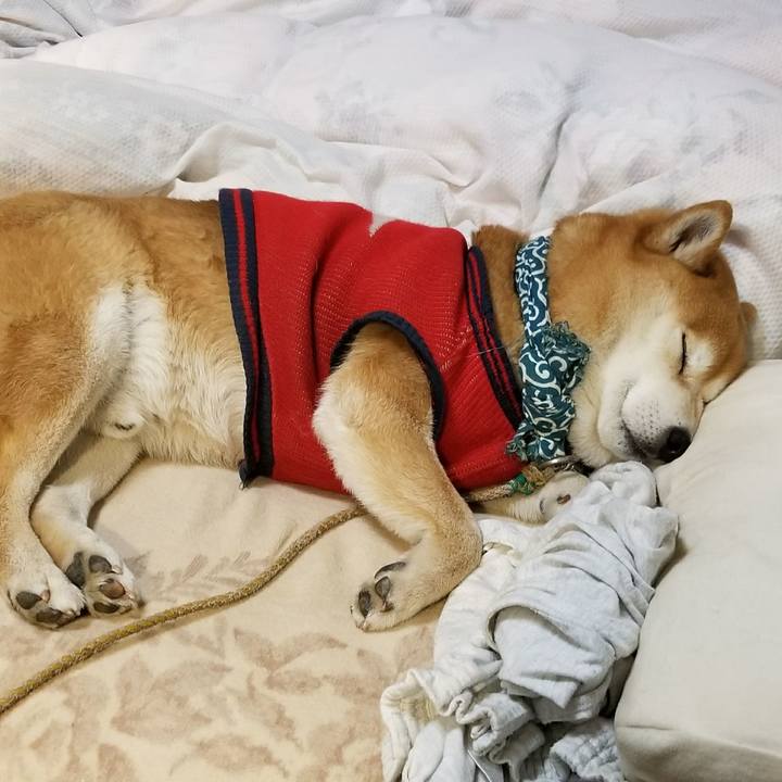 D1dbec65 eddf 4e71 8996 3b182c1c5d68 1520681681824