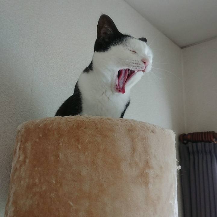 D1dbecea e997 4c8a b459 1425c34e3dde 1524634621250