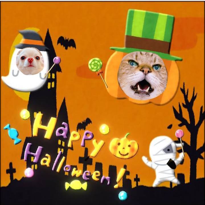 D1dc0b16 af88 475e b25d 79e66e6a0dcc 1635251703019