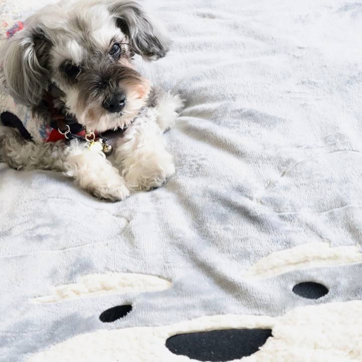 D1dc183e 6a57 42c6 b95a c64bed8ea943 1772609189502