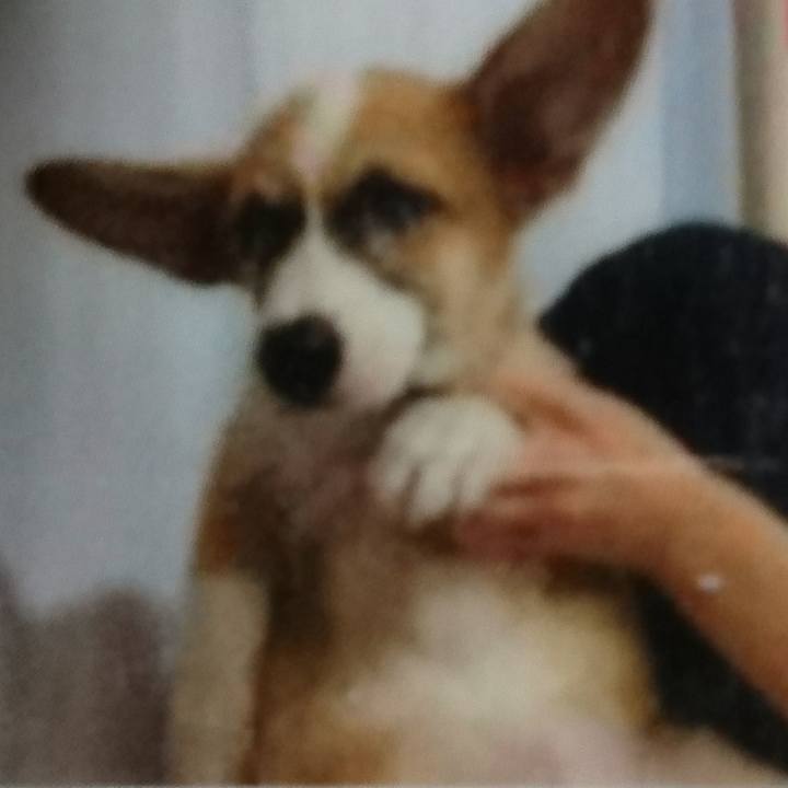 D1dc2401 92ba 4d1f b691 cae94c7de7fd 1670728574959