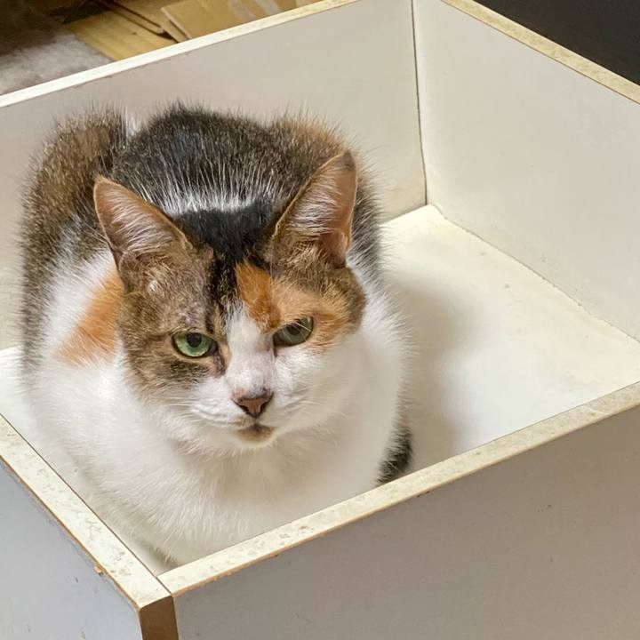 D1dc3620 6a0f 4d25 a1c8 b5632426ba8d 1628820107937