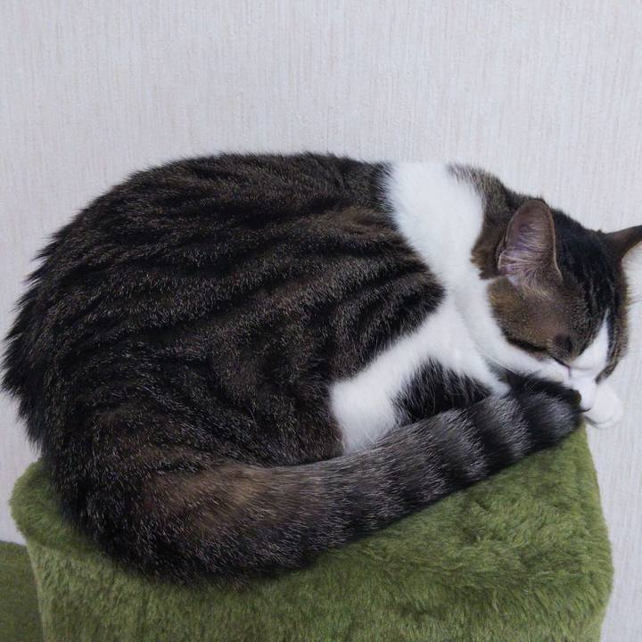 D1dc4e7c ab39 48be 8c72 829bea6723c5 1652951292438