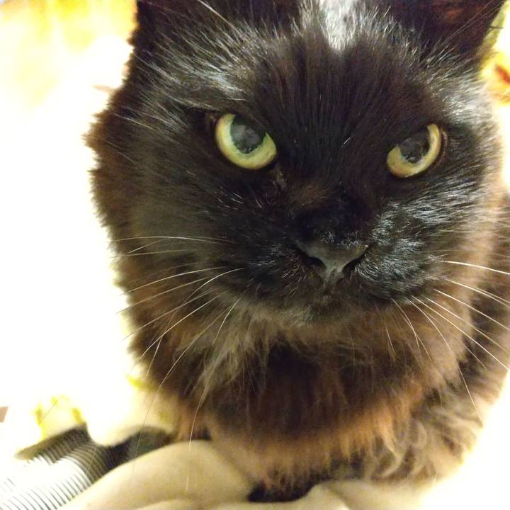 D1dc72b9 4931 4756 a372 a8b6a13f1025 1583753560978