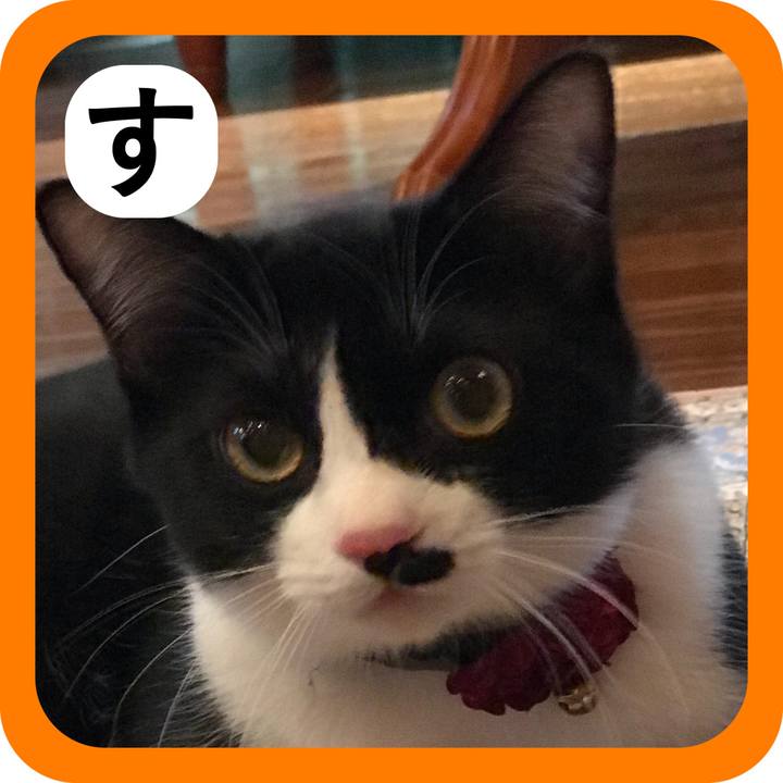 D1dc8eac 9d1f 4a86 8040 3797b69a82ed 1514901345876