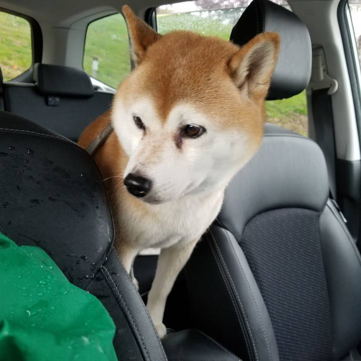 D1dc9c43 8069 43ac a90c 3a2b66bc28d3 1634967935398